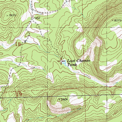 Topographic Map of Last Chance Tank, NM