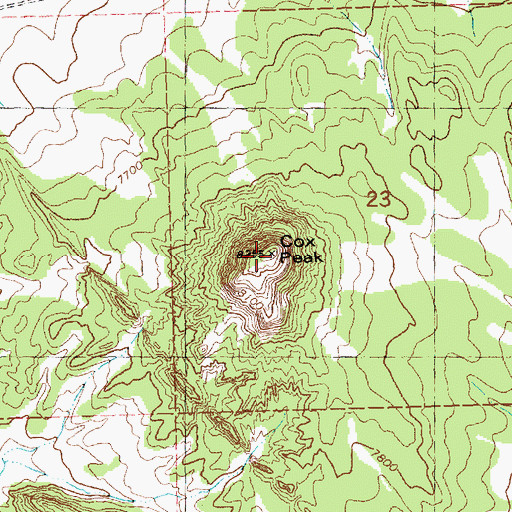 Topographic Map of Cox Peak, NM