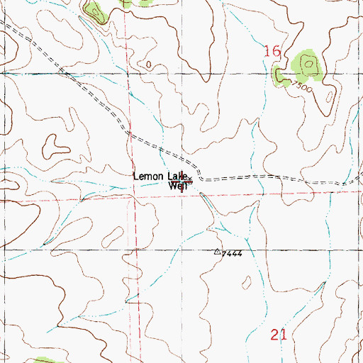 Topographic Map of Lemon Lake Well, NM
