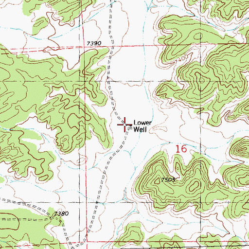 Topographic Map of Lower Well, NM