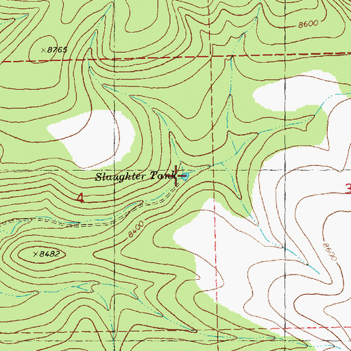 Topographic Map of Slaughter Tank, NM