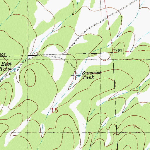 Topographic Map of Surprise Tank, NM
