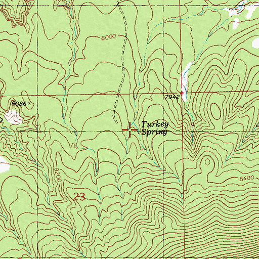Topographic Map of Turkey Spring, NM
