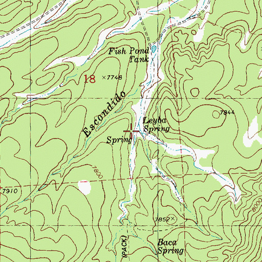 Topographic Map of Leyba Spring, NM
