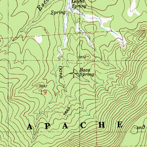 Topographic Map of Baca Spring, NM