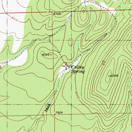 Topographic Map of Calley Spring, NM
