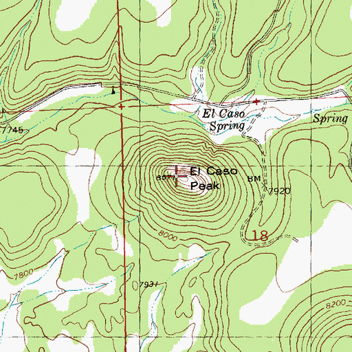 Topographic Map of El Caso Peak, NM