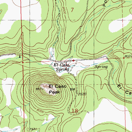 Topographic Map of El Caso Spring, NM