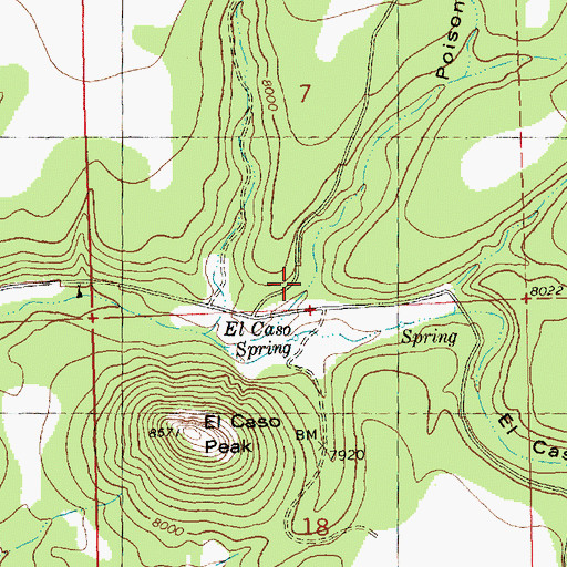 Topographic Map of Poison Canyon, NM
