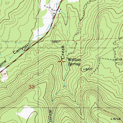 Topographic Map of Willow Spring, NM