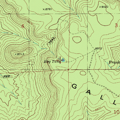 Topographic Map of Bog Tank, NM