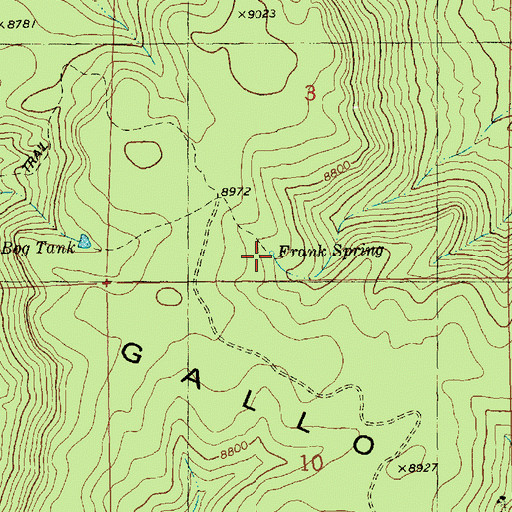 Topographic Map of Frank Spring, NM