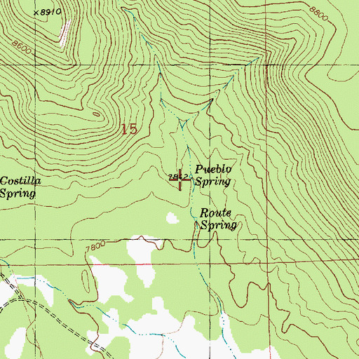 Topographic Map of Pueblo Spring, NM