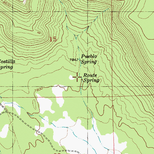 Topographic Map of Route Spring, NM