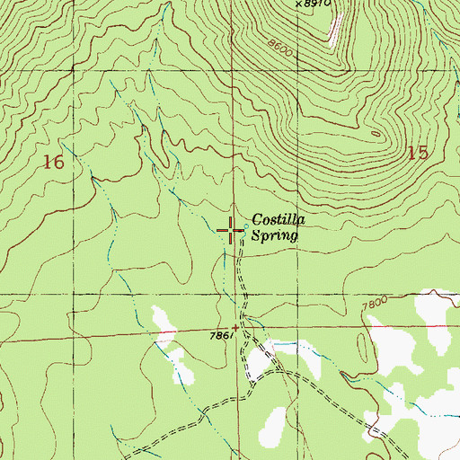 Topographic Map of Costilla Spring, NM
