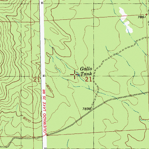 Topographic Map of Gallo Tank, NM