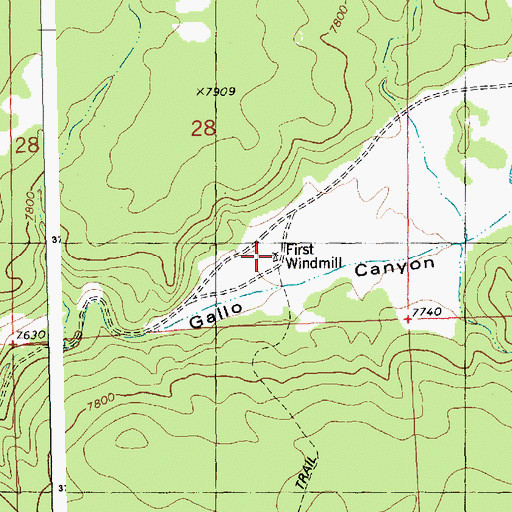 Topographic Map of First Windmill, NM