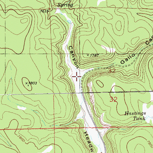 Topographic Map of Gallo Canyon, NM