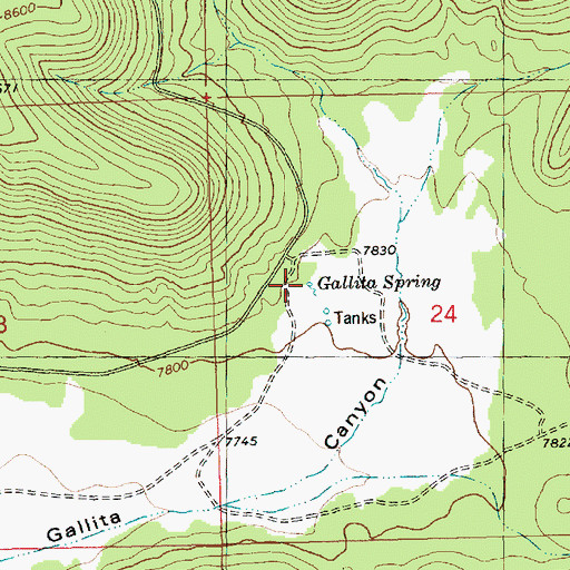 Topographic Map of Gallita Spring, NM