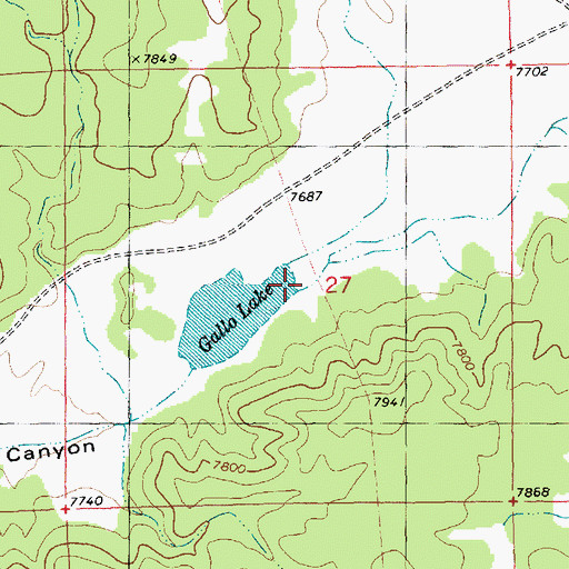 Topographic Map of Gallita Canyon, NM