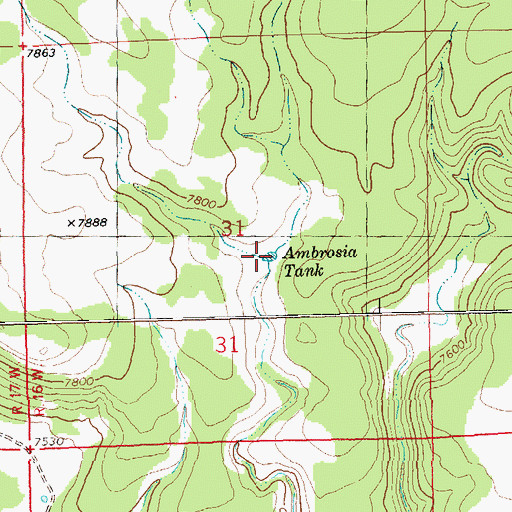 Topographic Map of Ambrosia Tank, NM