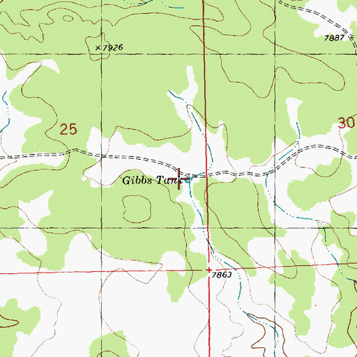 Topographic Map of Gibbs Tank, NM