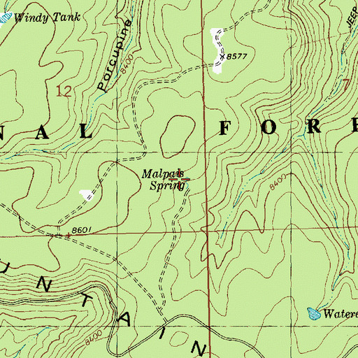 Topographic Map of Malpais Spring, NM
