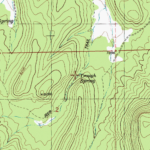 Topographic Map of Trough Spring, NM