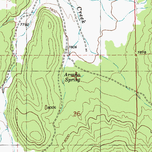 Topographic Map of Armijo Spring, NM