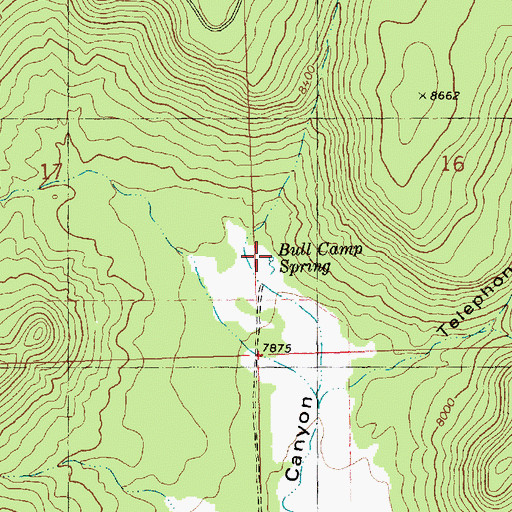 Topographic Map of Bull Camp Spring, NM