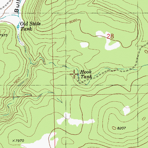 Topographic Map of Hook Tank, NM