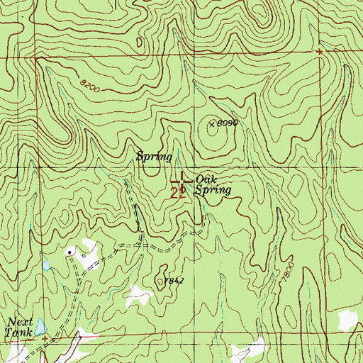Topographic Map of Oak Spring, NM