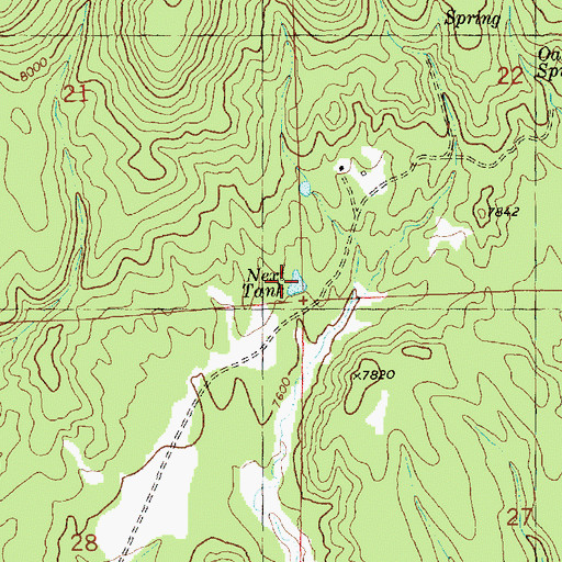 Topographic Map of Next Tank, NM