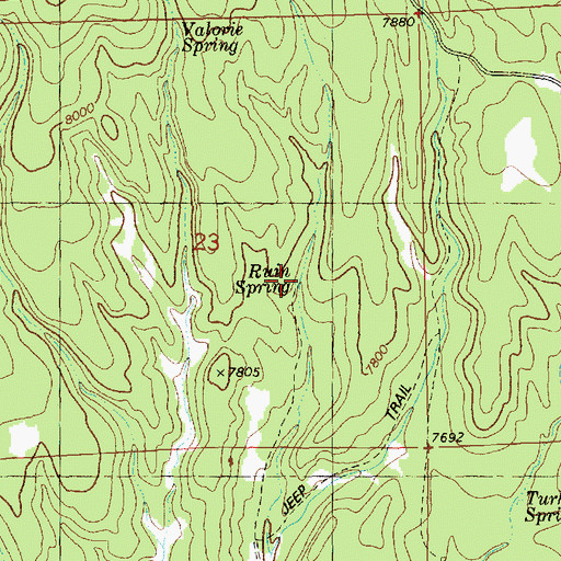 Topographic Map of Ruin Spring, NM