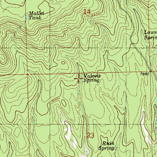 Topographic Map of Valorie Spring, NM