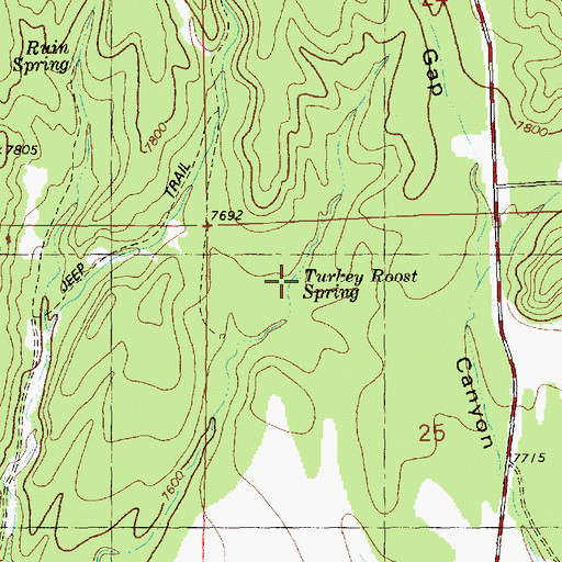 Topographic Map of Turkey Roast Spring, NM