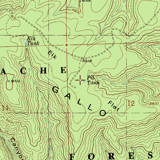 Topographic Map of Pit Tank, NM