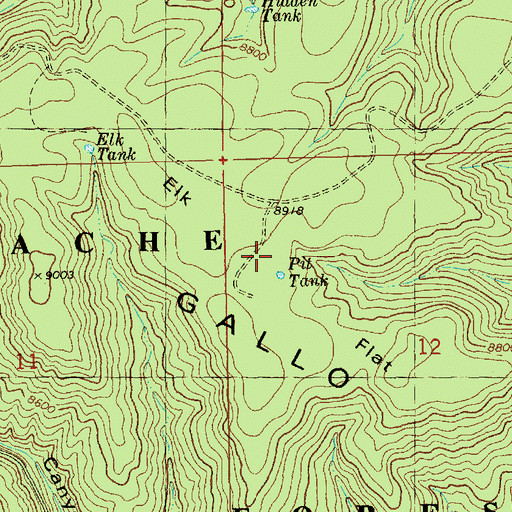 Topographic Map of Elk Flat, NM
