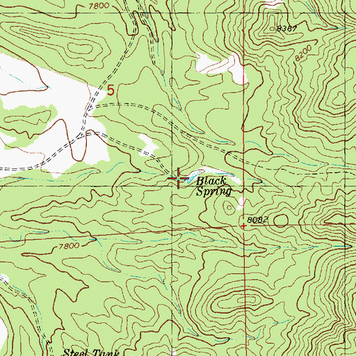 Topographic Map of Black Spring, NM