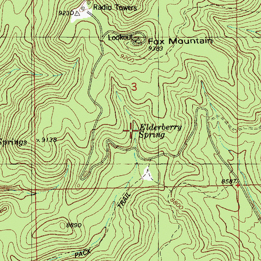 Topographic Map of Elderberry Spring, NM