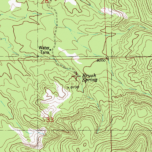 Topographic Map of Brush Spring, NM