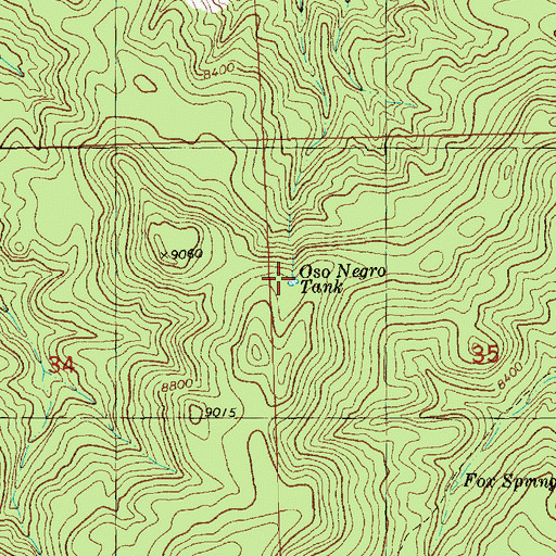 Topographic Map of Oso Negro Tank, NM