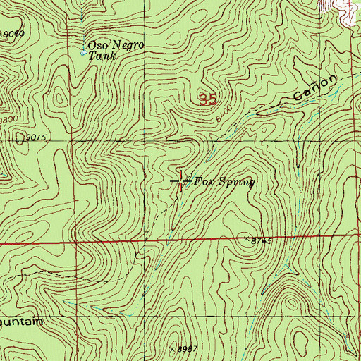 Topographic Map of Fox Spring, NM