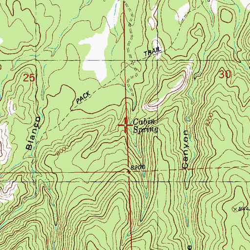 Topographic Map of Cabin Spring, NM