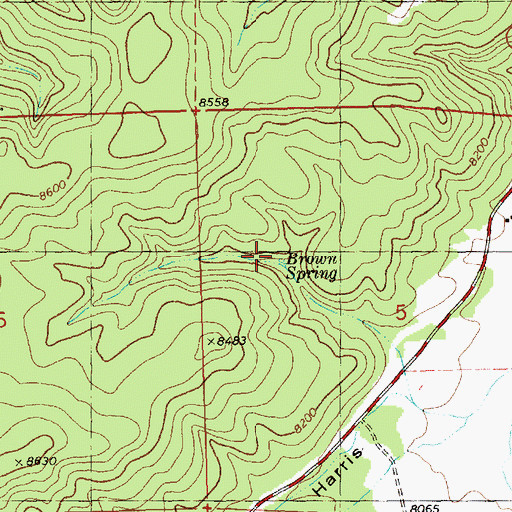 Topographic Map of Brown Spring, NM