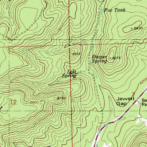 Topographic Map of Lost Spring, NM