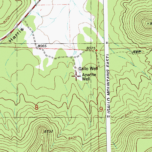 Topographic Map of Apache Well, NM