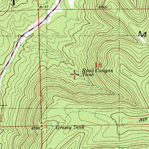 Topographic Map of Road Canyon Tank, NM