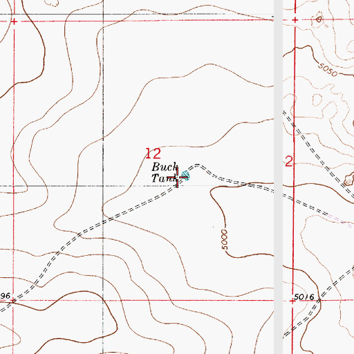 Topographic Map of Buck Tank, NM