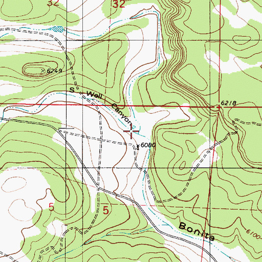 Topographic Map of South Well Canyon, NM